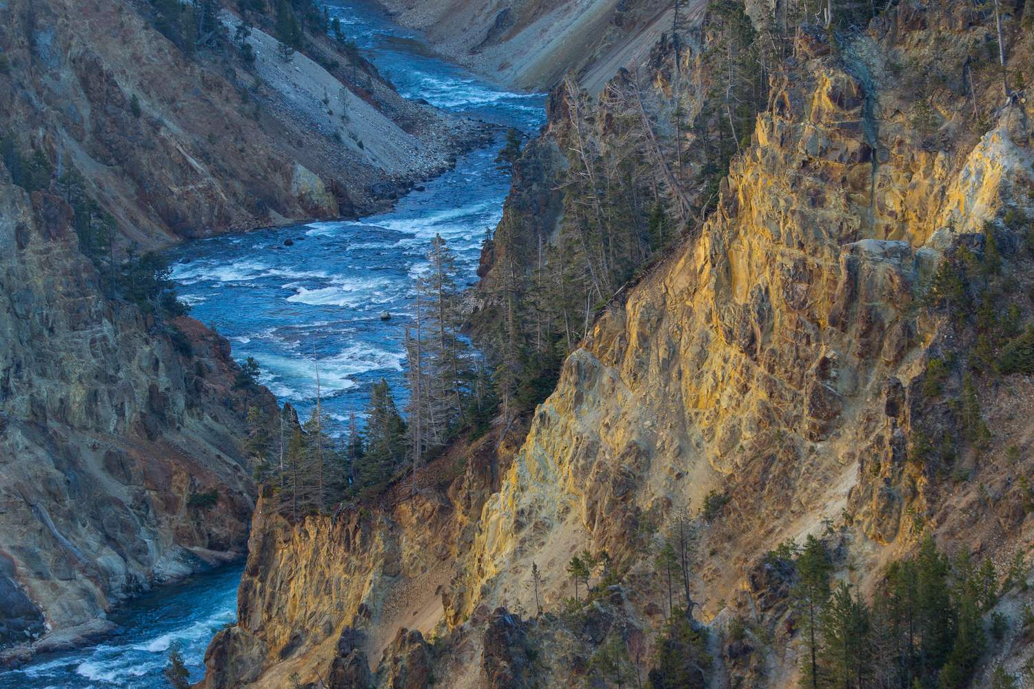 The Yellowstone River threading the yellow and red walls of the Grand Canyon of the Yellowstone.